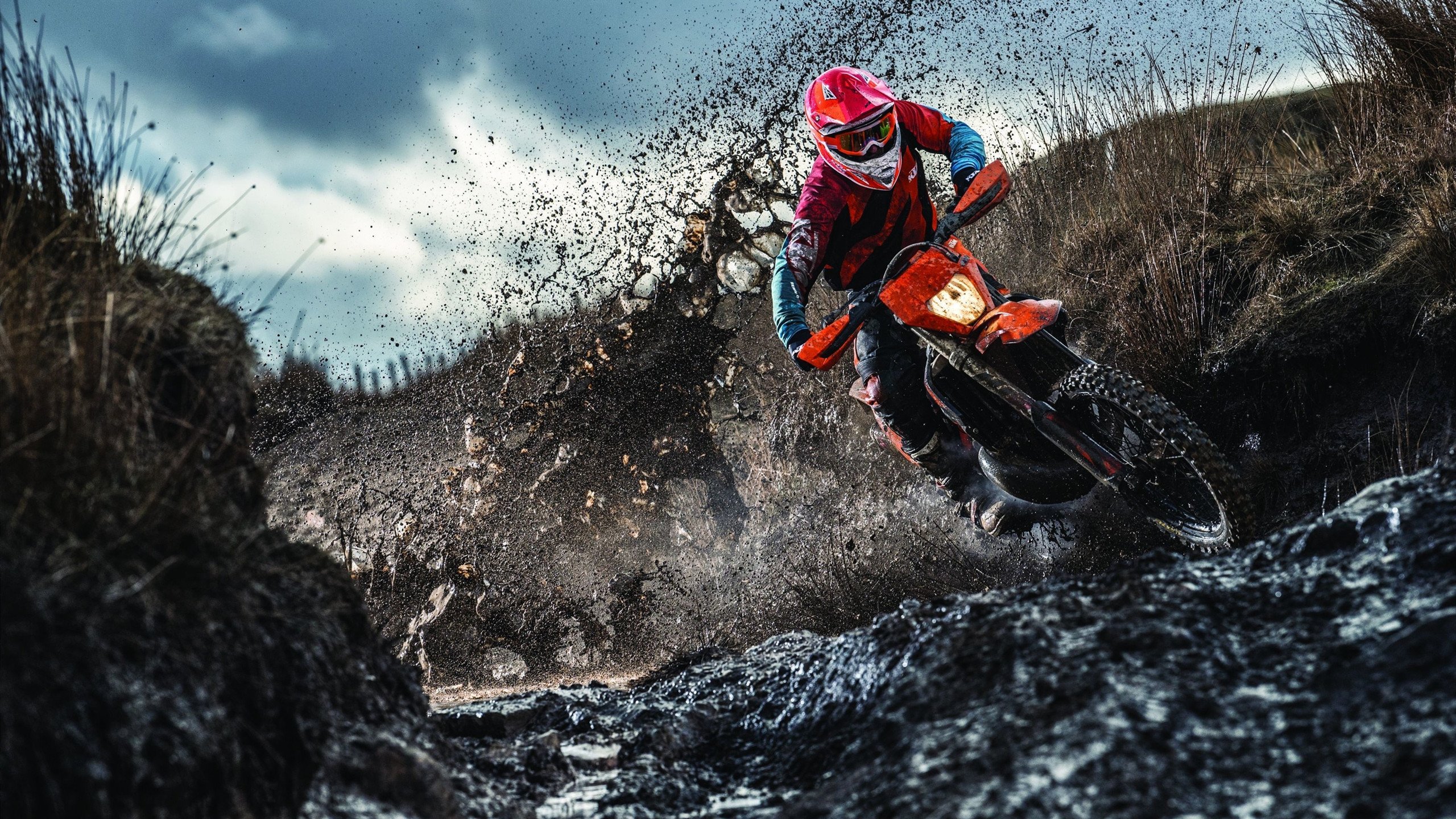 _可再生能源动力长跑：绿色运动新标杆_，可再生能源和绿色能源